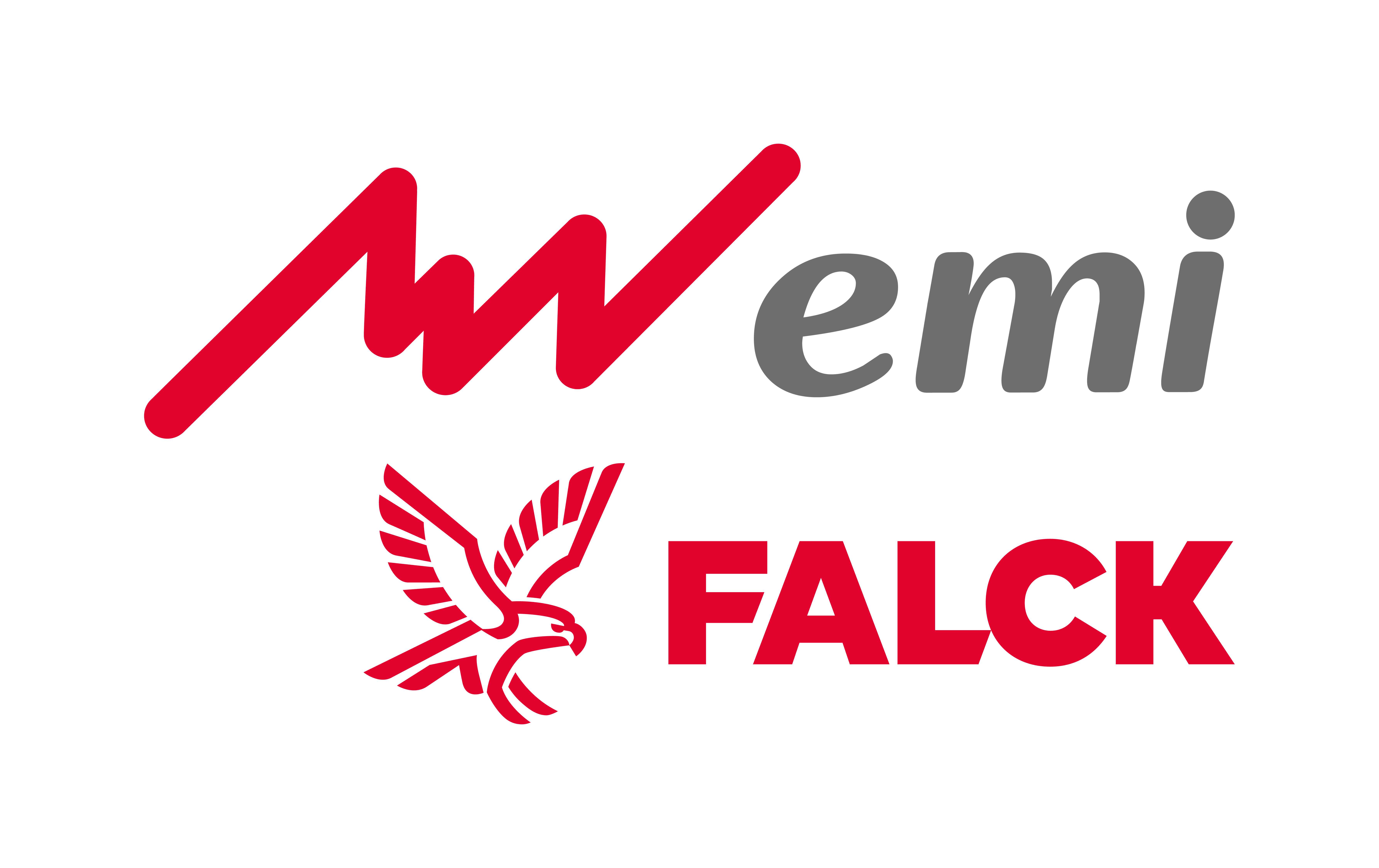 FalckLatam_LogoEmiFalck_CMYK